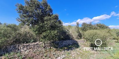 Immobilien picture 2 Ref. Nr. 76384