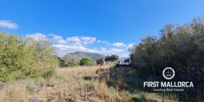 Immobilien picture 0 Ref. Nr. 76384