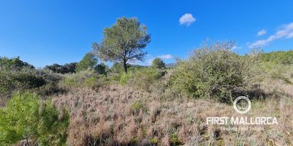 Immobilien picture 4 Ref. Nr. 76384