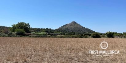 Immobilien picture 2 Ref. Nr. 77338
