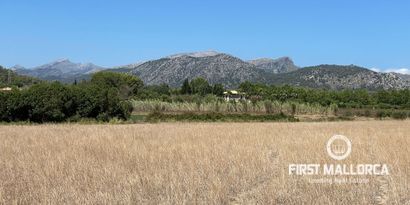 Immobilien picture 4 Ref. Nr. 77338