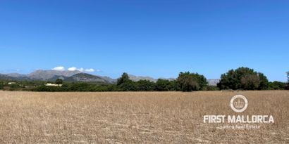 Immobilien picture 3 Ref. Nr. 77338