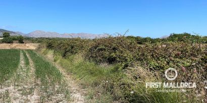 Immobilien picture 6 Ref. Nr. 77338