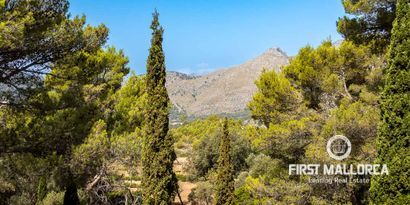 Real Estates picture 23 Ref. 77063