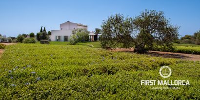 Immobilien picture 40 Ref. Nr. 77290