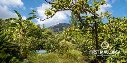 Real Estates picture 12 Ref. 77291