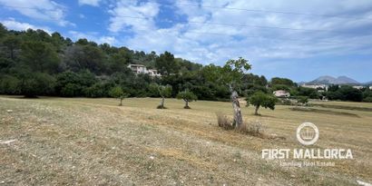 Недвижимость picture 1 Ref 77161