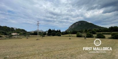 Недвижимость picture 2 Ref 77161