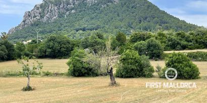 Недвижимость picture 6 Ref 77161