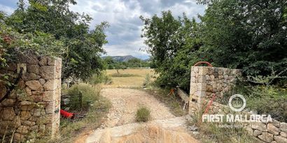 Недвижимость picture 7 Ref 77161