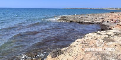 Real Estates picture 17 Ref. R23516