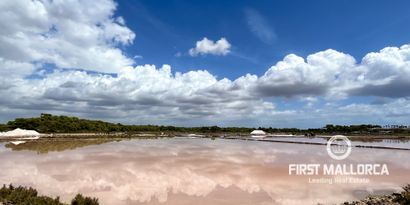 Inmobiliaria picture 23 Ref. Nº. R23577