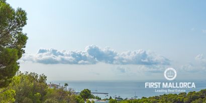 Inmobiliaria picture 0 Ref. Nº. R8081