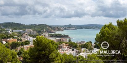 Real Estates picture 4 Ref. Nr. 77441