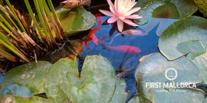 Inmobiliaria picture 30 Ref. Nº. 77716