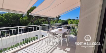 Real Estates picture 2 Ref. 77799