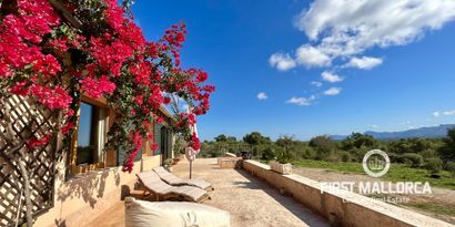 Real Estates picture 3 Ref. R23647