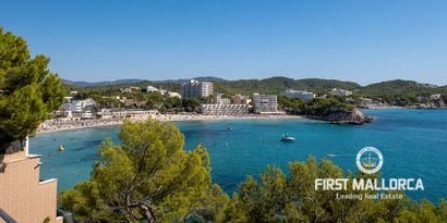 Real Estates picture 3 Ref. 77819