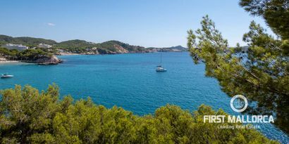 Real Estates picture 15 Ref. 77819