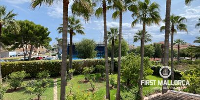 Real Estates picture 30 Ref. 77574