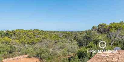 Immobilien picture 32 Ref. Nr. 64016