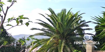 Real Estates picture 6 Ref. Nr. 77989