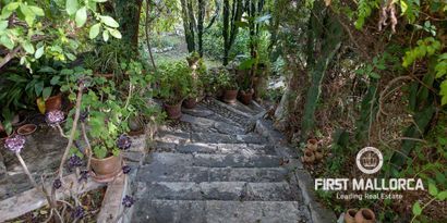 Real Estates picture 6 Ref. 77882