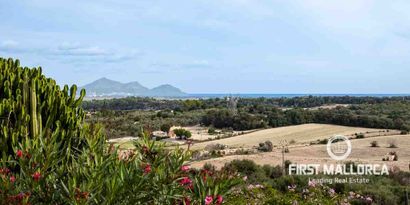 Real Estates picture 8 Ref. 77882