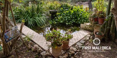 Real Estates picture 7 Ref. 77882