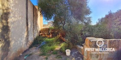 Immobilien picture 2 Ref. Nr. 78039