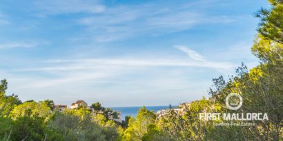 Real Estates picture 3 Ref. Nr. 64333