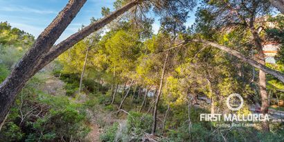 Real Estates picture 4 Ref. Nr. 64333