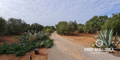 Real Estates picture 6 Ref. Nr. R24080