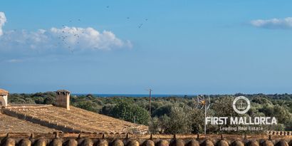 Real Estates picture 3 Ref. 78076