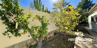 Inmobiliaria picture 12 Ref. Nº. 78048