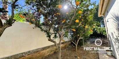 Inmobiliaria picture 13 Ref. Nº. 78048