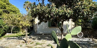 Inmobiliaria picture 24 Ref. Nº. 78048