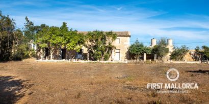 Inmobiliaria picture 8 Ref. Nº. 75368