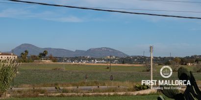 Inmobiliaria picture 12 Ref. Nº. 75368