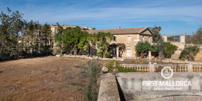 Inmobiliaria picture 0 Ref. Nº. 75368