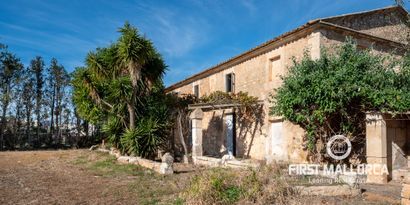 Inmobiliaria picture 1 Ref. Nº. 75368