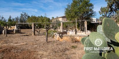 Inmobiliaria picture 9 Ref. Nº. 75368