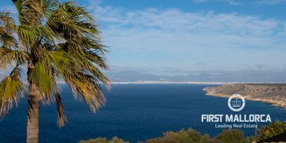 Real Estates picture 5 Ref. 78100