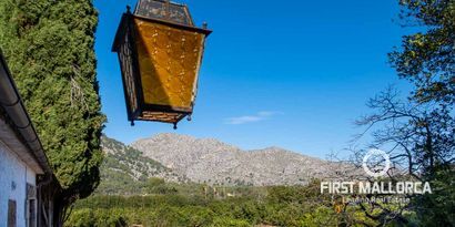 Real Estates picture 2 Ref. 78199