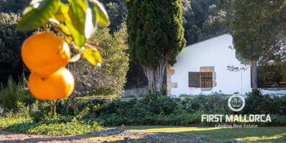 Real Estates picture 4 Ref. Nr. R24198