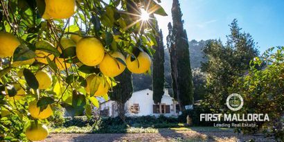 Real Estates picture 34 Ref. Nr. R24198