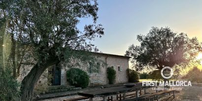 Real Estates picture 5 Ref. R24244