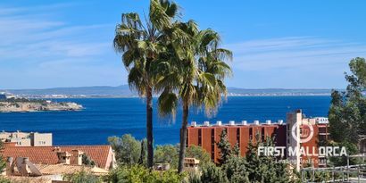 Real Estates picture 20 Ref. 77332