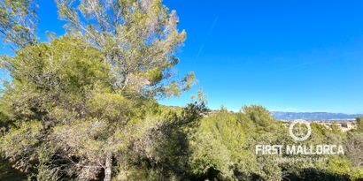 Real Estates picture 18 Ref. 78392