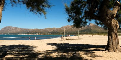 Real Estates picture 32 Ref. 77846